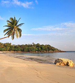 Пороми до Bintan Island