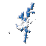 Шетландські острови