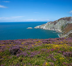 Голігед Port Image