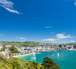 Wellington Port Image